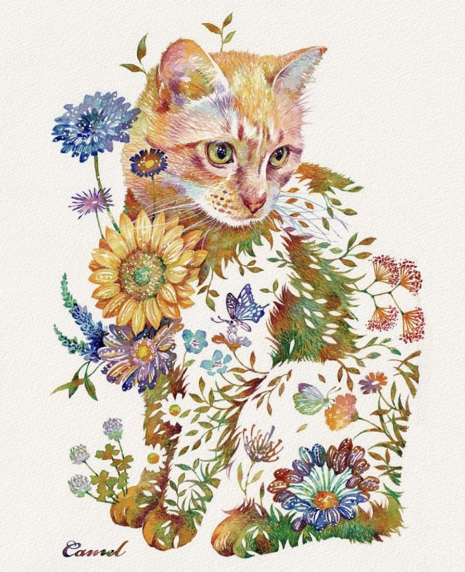 お昼食べたらまた寝よっと#猫 #花 #水彩 」|タケダヒロキのイラスト