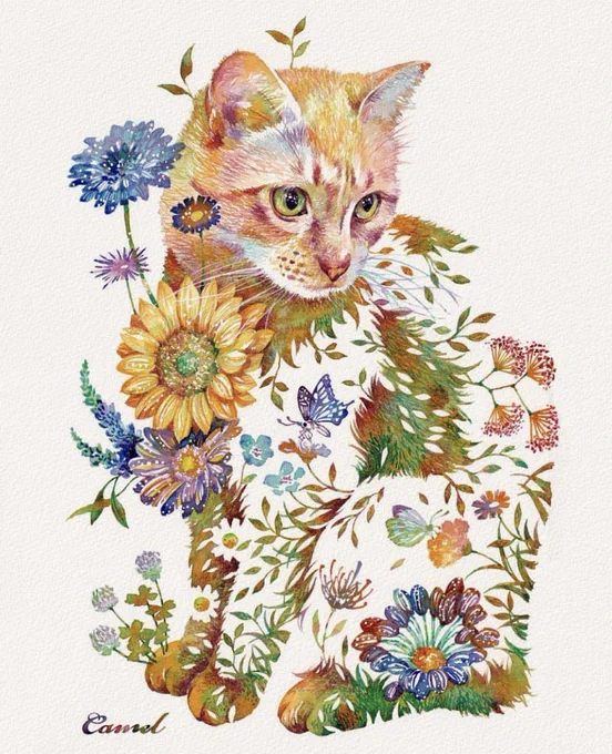お昼食べたらまた寝よっと#猫 #花 #水彩 