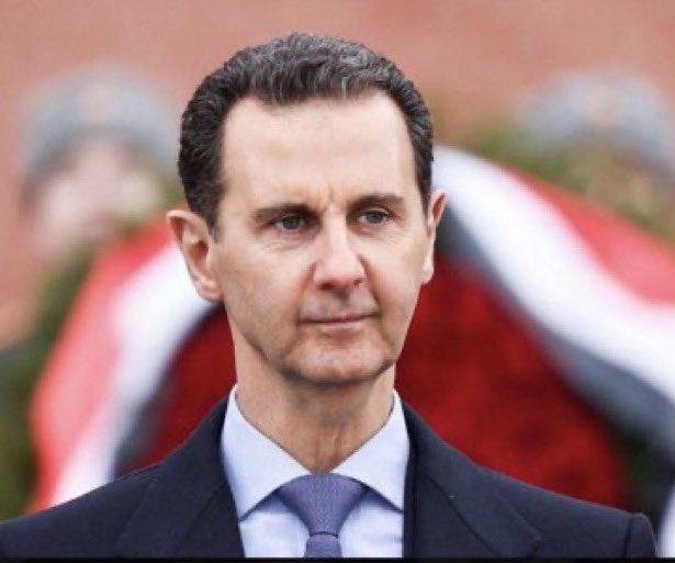 Liliana Franco tweet media