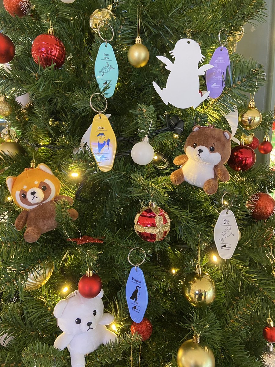 _seaparadise_'s tweet photo. クリスマスツリー🎄に、オリジナル景品「モーテルキー」と「海のおともだちスペシャルぬいぐるみ」を飾ってみました✨

ゲットして、ぜひ飾ってみてくださいね ❤️ 💚 💙 💛

▼『ウエスタンゲームハウス』の詳細はこちら
https://t.co/DRTpwn2q7u #シーパラ #八景島 #ウエスタンゲームハウス https://t.co/3PAjH2MvBM