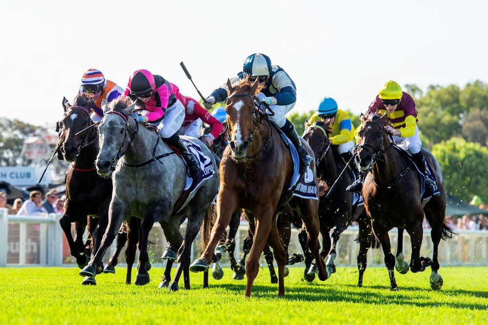 JasonMillerRace's tweet image. ADMIRATION EXPRESS was back to her best at Ascot in the Group 1 Northerly Stakes yesterday, running into one better in Light Infantry Man. Given an absolute peach by Lucy Fiore who allowed her to flow into the race with clear room, the team are beyond proud of this little mare!