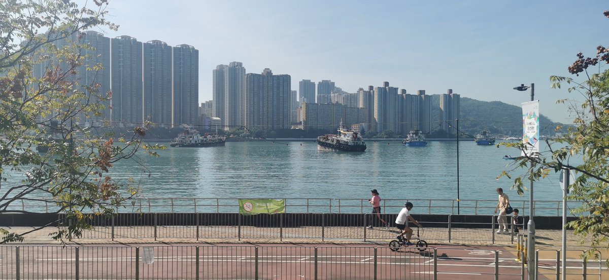 Antonio Romero tweet media