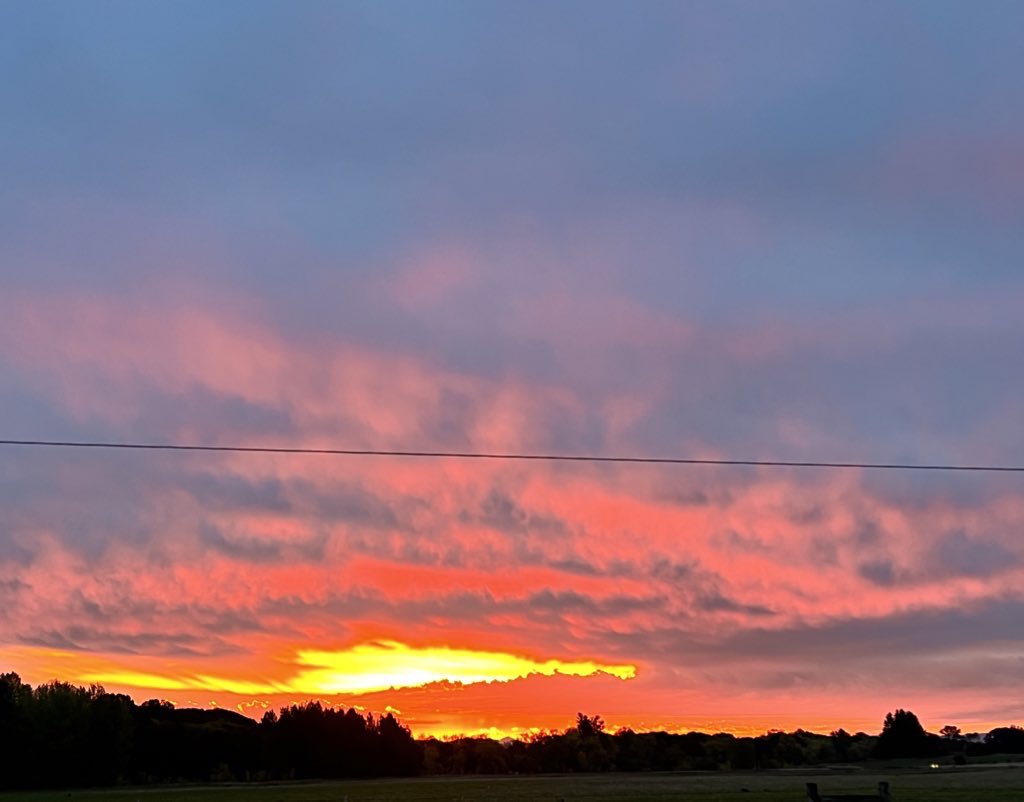 79Just4fun's tweet photo. Beauty can be found as long as you just open your eyes to it. 
#Newbeginnings #beauty https://t.co/R34wbsK5H6