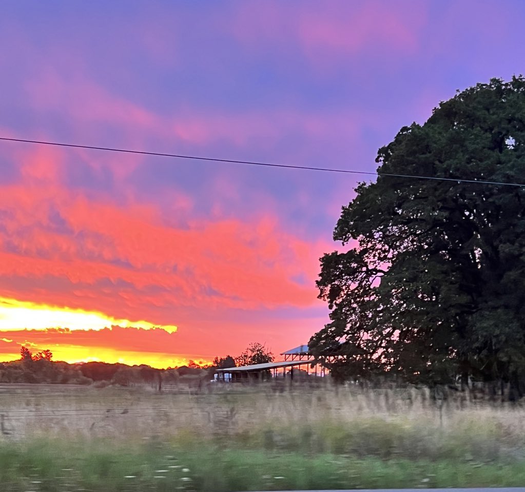 79Just4fun's tweet photo. Beauty can be found as long as you just open your eyes to it. 
#Newbeginnings #beauty https://t.co/R34wbsK5H6