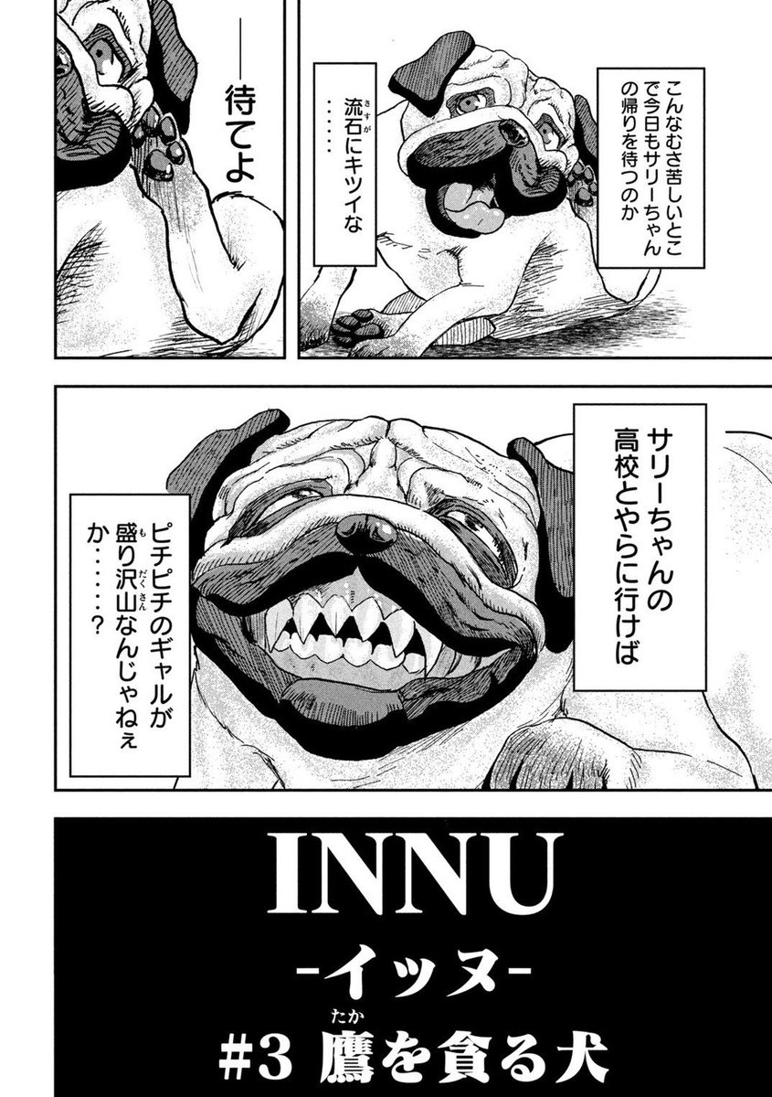 (1/6) 