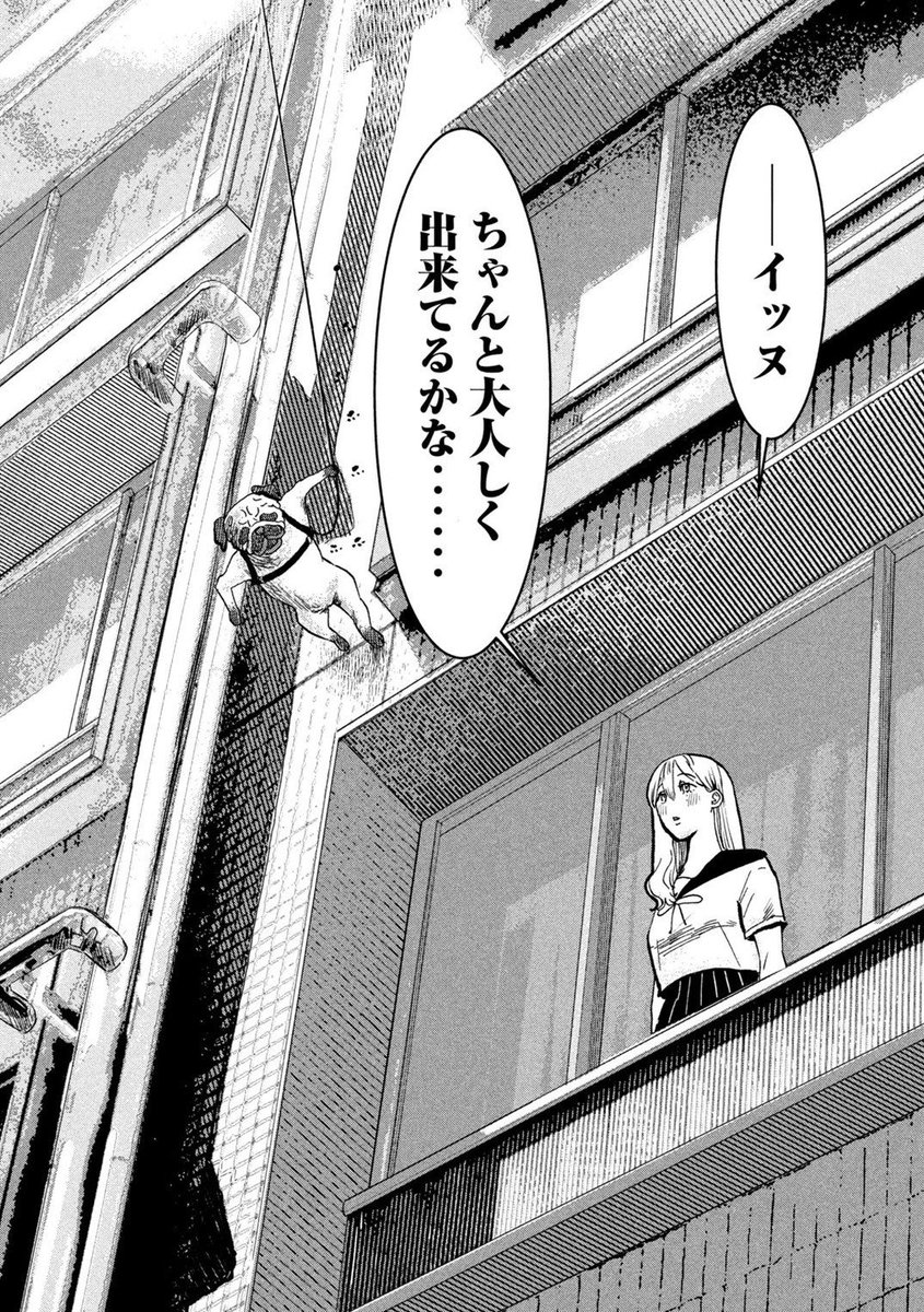 (2/6) 