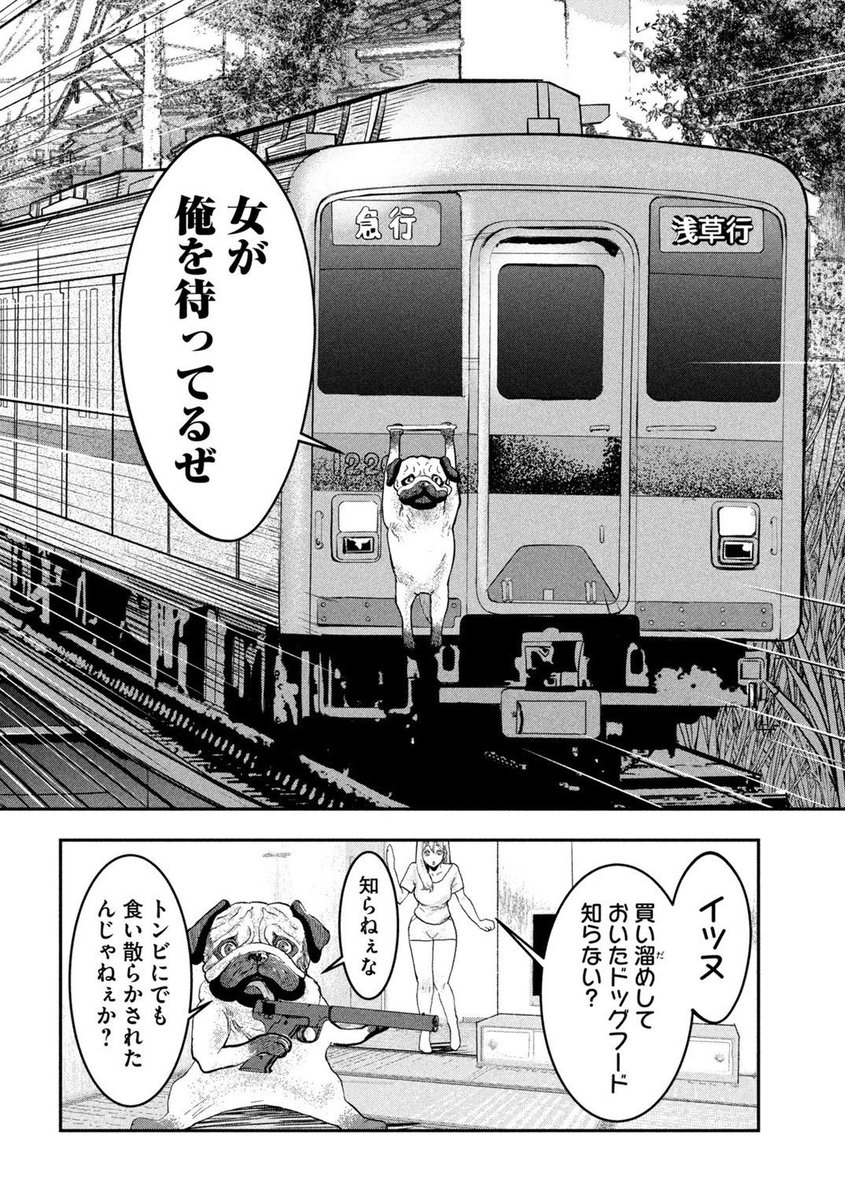 (6/6) 