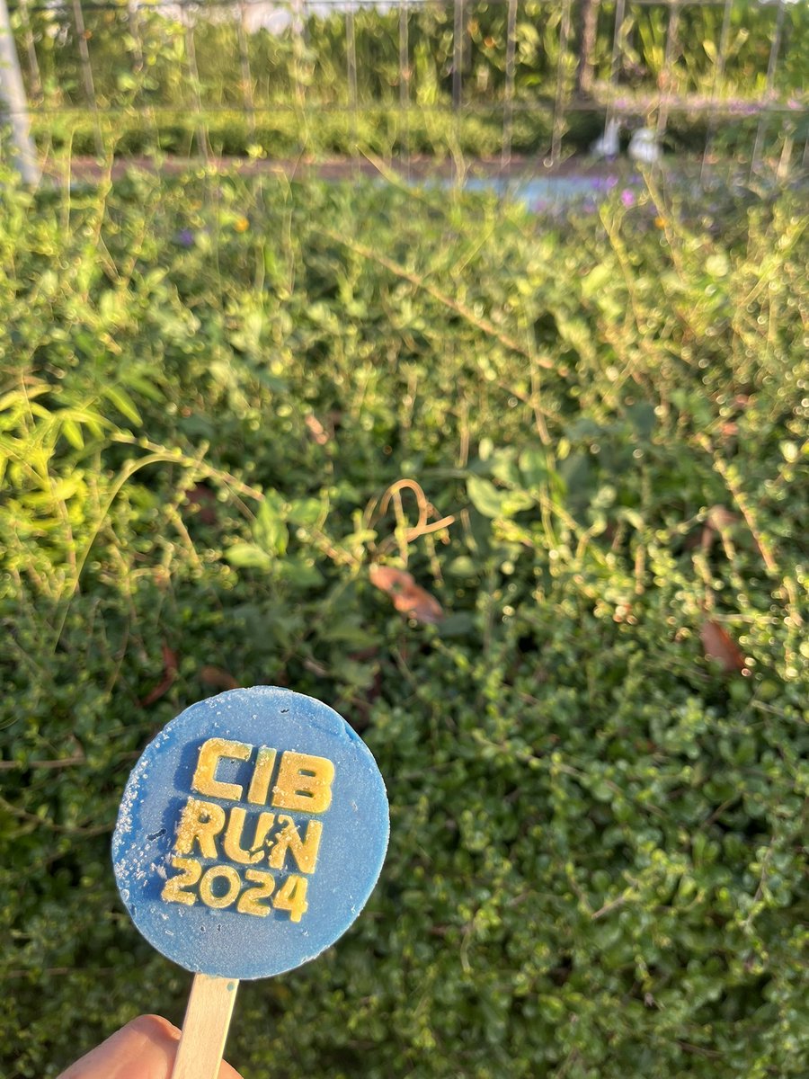Nataca19891's tweet photo. #cibrun2024 🏃🏻‍♂️ https://t.co/Zrry5yKJmN