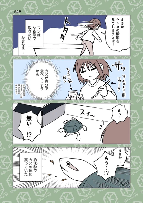 (2/4) 