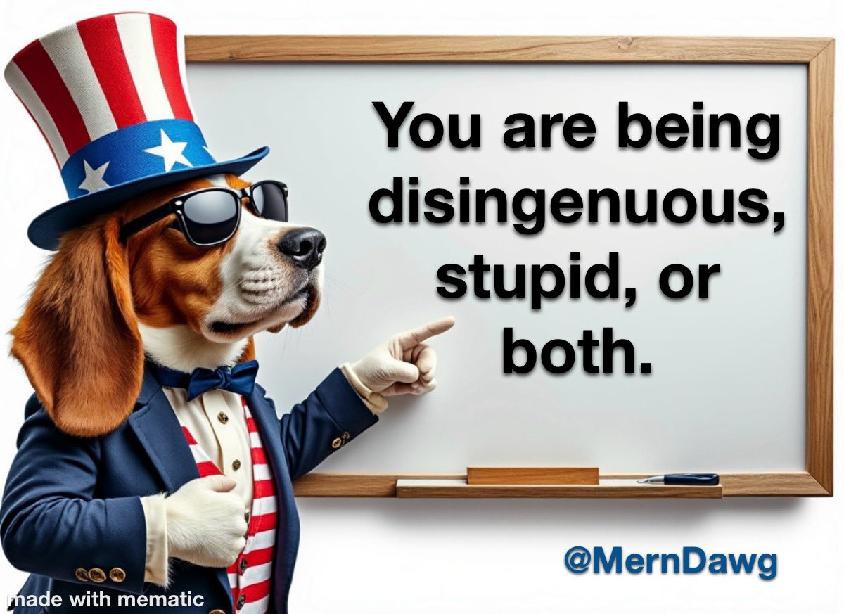 MernDawg 🇺🇸 🐶 tweet media