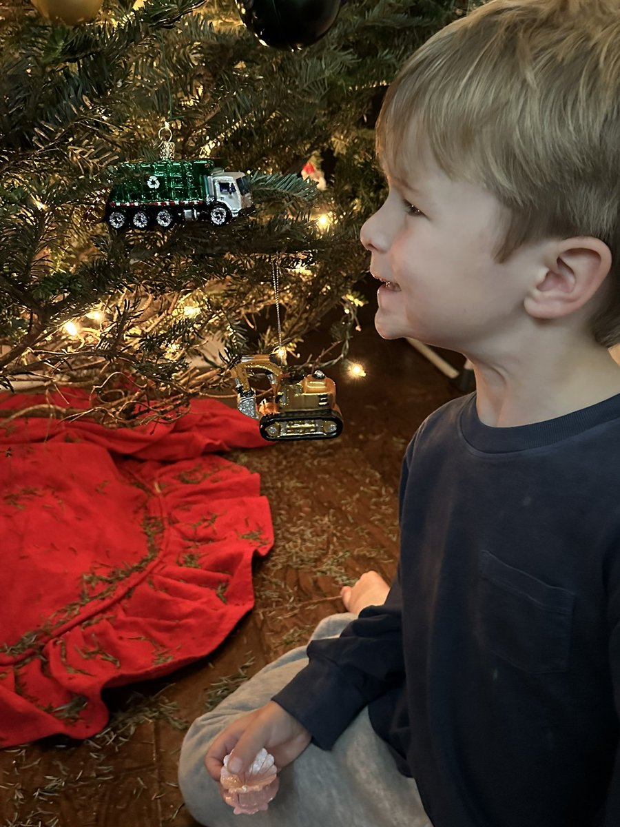 Helping mom decorate the tree! He loves his new ornament 😍