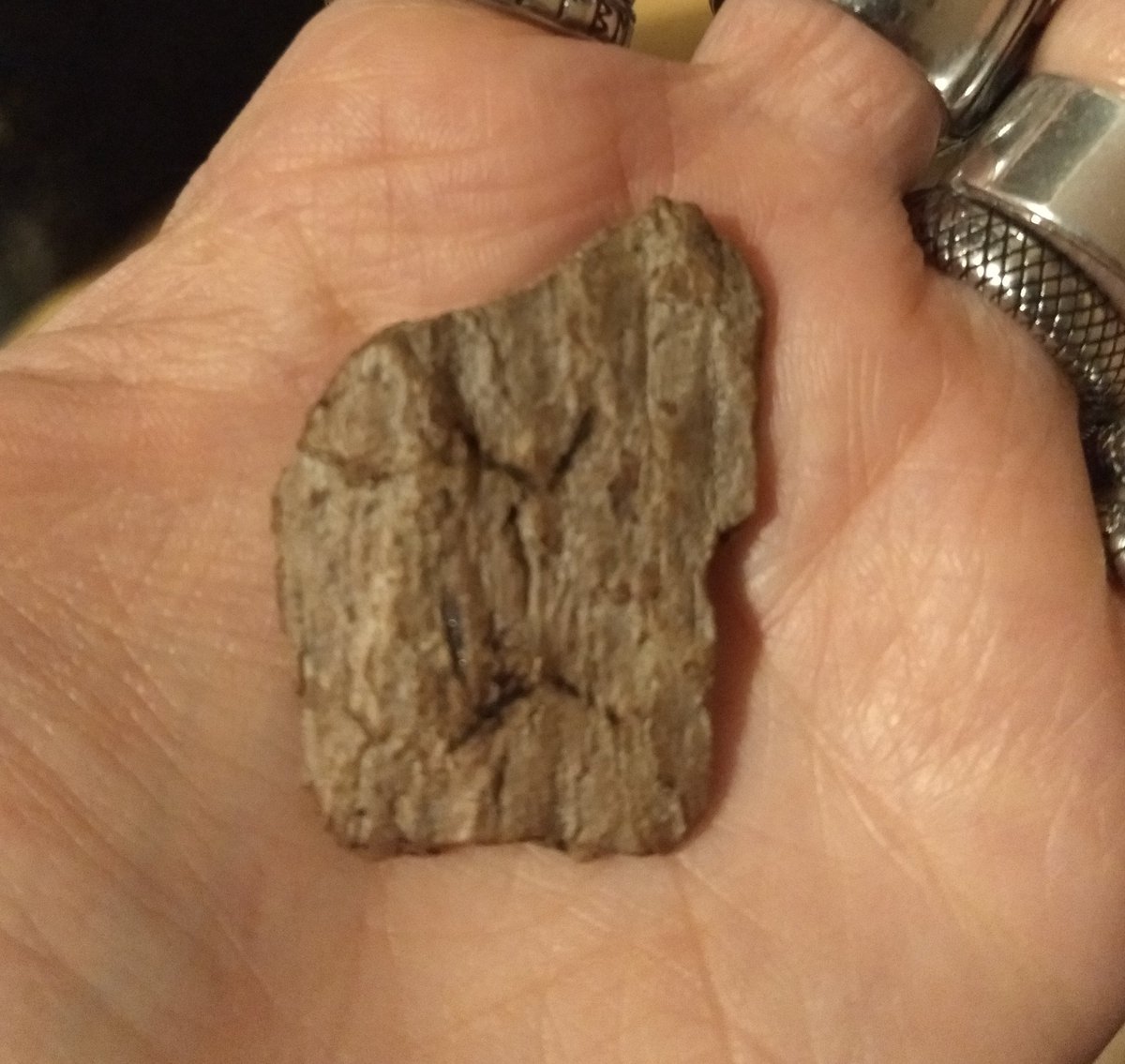 lokabrenna's tweet photo. Happy Saturday Sunwait!  Tonight's chosen incense was cinnamon. And here is Ansuz.

Ansuz – In the fourth of sunwait we light
The candle of Ansuz so bright
In worship of gods old and wise
May the powers of Regin in it rise

 And tonight's Sunwait pulled rune is Perthro. https://t.co/JD3L8VCbrG