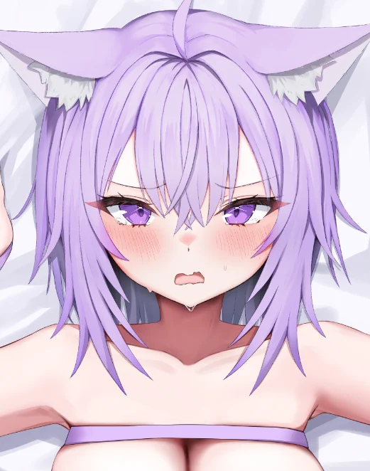 表紙の絵です 