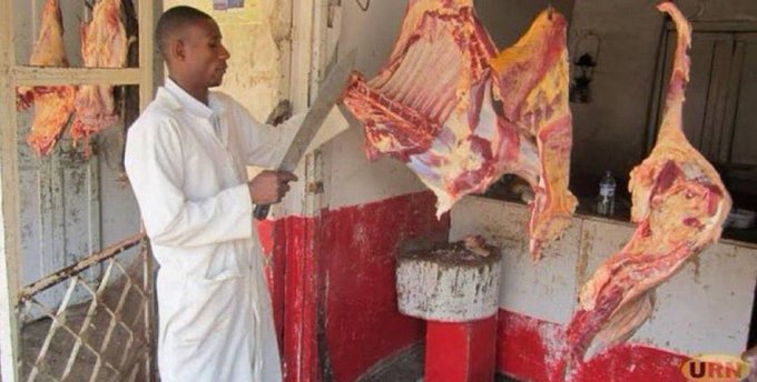 Your goat😎