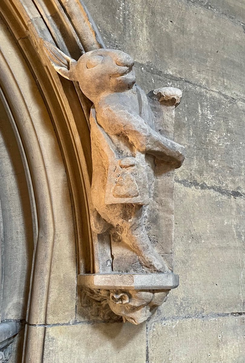 The ‘Pilgrim Hare’ from St. Mary’s Church in Beverley, East Yorkshire. Dating to the mid-14th century, the hare is dressed as a pilgrim, hence the title. It is thought that the carving was the inspiration for Lewis Carroll’s White Rabbit. 📸 My own. #StoneworkSunday