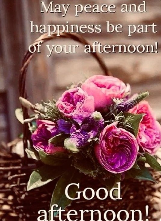 Aslam alaikum 🌺🥀🌺 
Did you have a good lunch 🌺🥀🌺