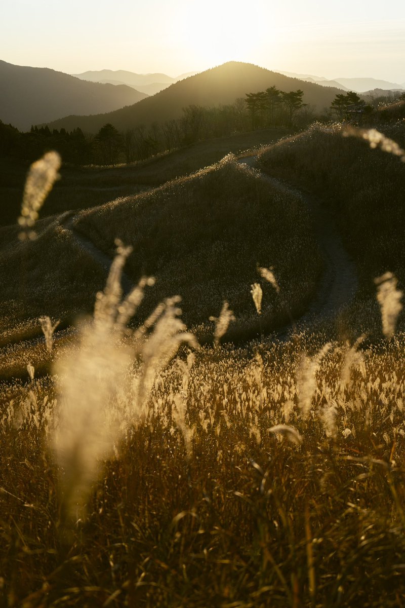 _bdtopb's tweet photo. Golden Hour 

#canon #landscapes #autumn #nature https://t.co/rhaXaq3fAM
