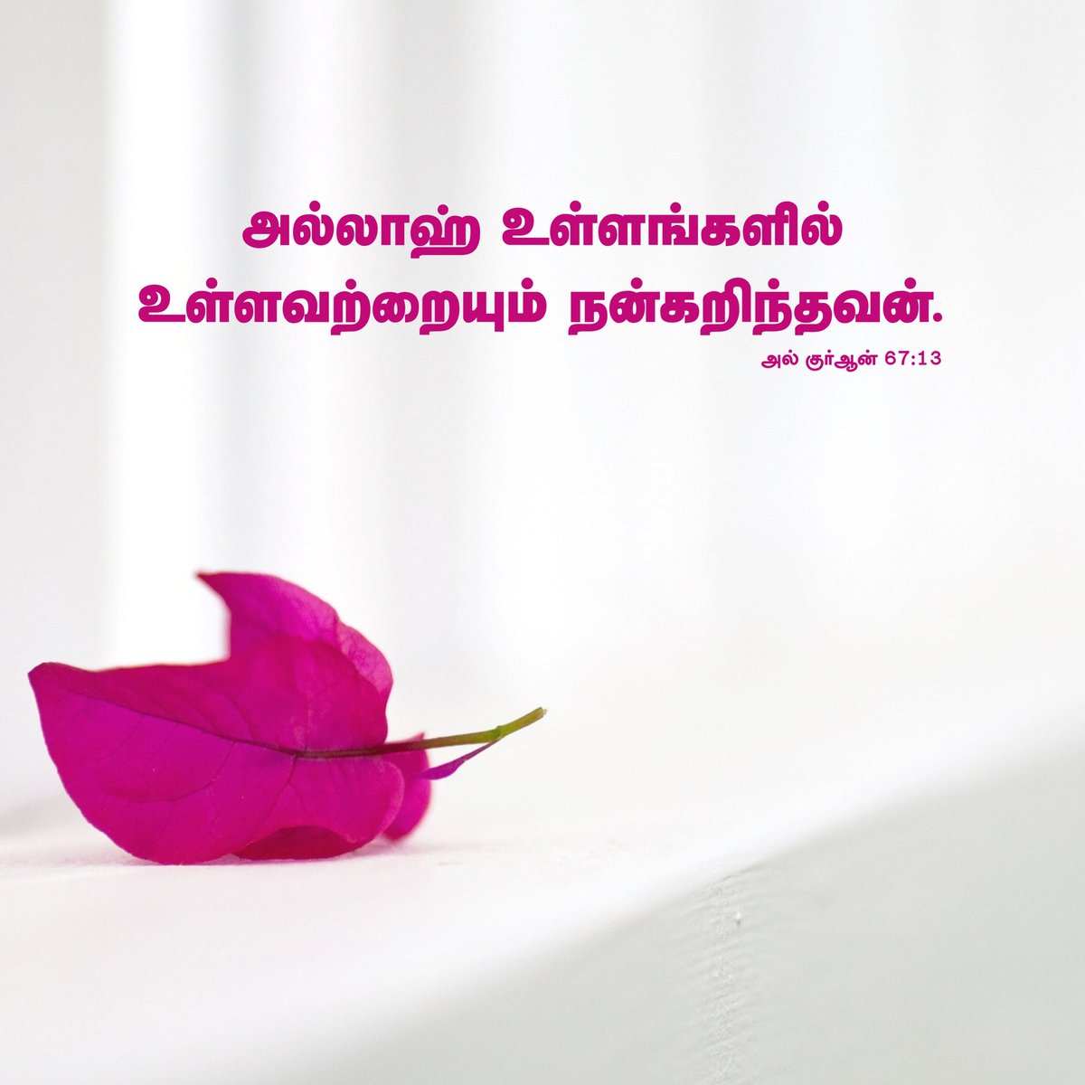 janasnabeel's tweet photo. #Quran https://t.co/oTcvypkKBK
