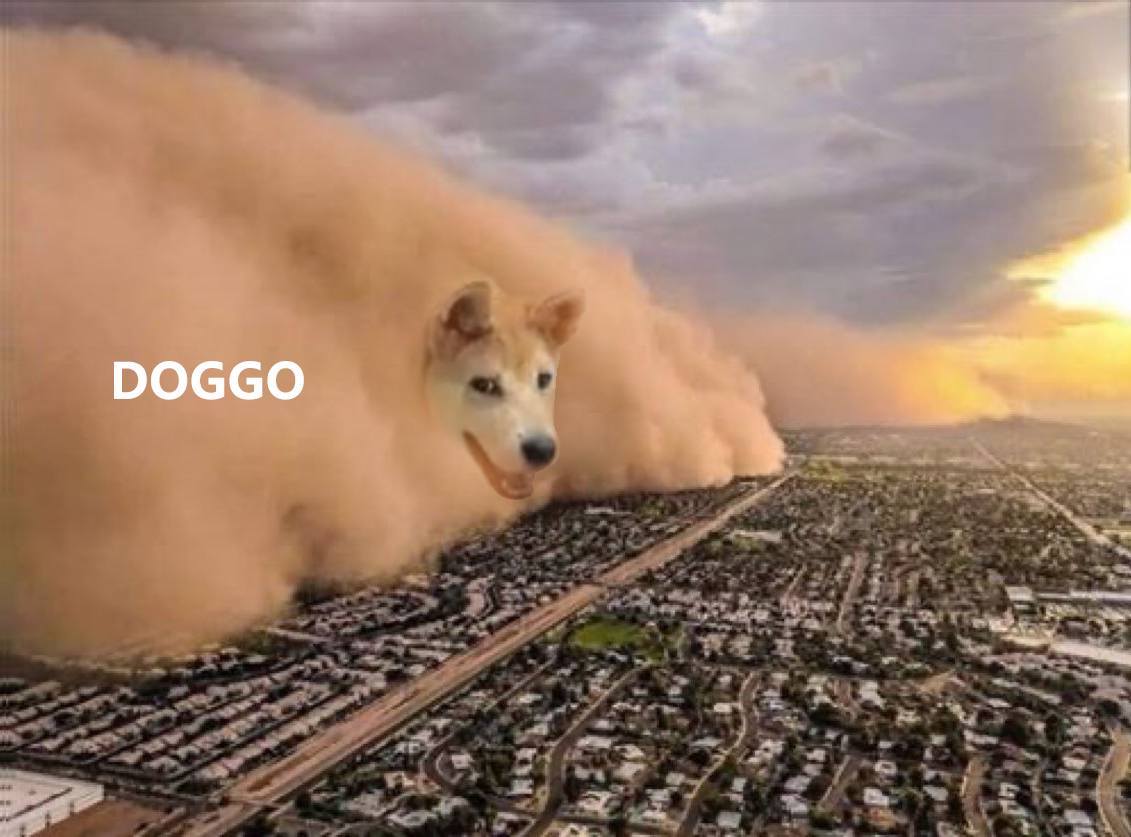 New doge:  $doggo