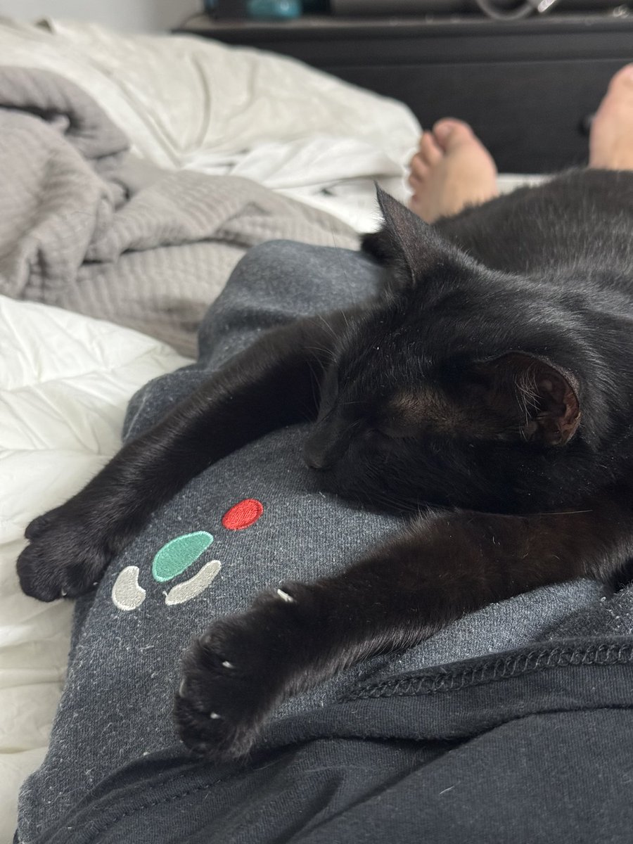 Claire Saffitz formerly of the BA Test Kitten (@ba_testkitten) on Twitter photo 