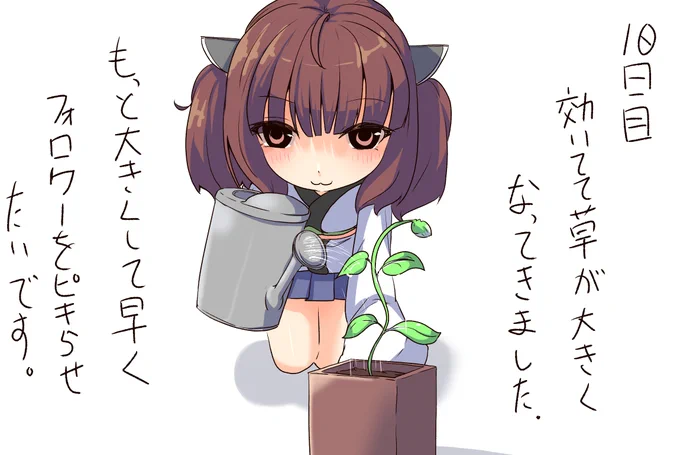 きりたんの観察日記(2/2) 