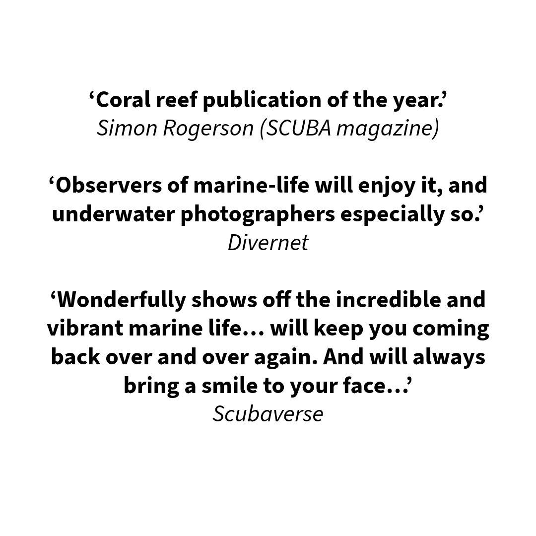 DivedUp's tweet photo. If you are looking for a gift for someone with a particular interest in marine life here are some of our best selling titles to consider!  
#booksofinstagram #books #scubadiving #gifts https://t.co/2sPsI9kSVk