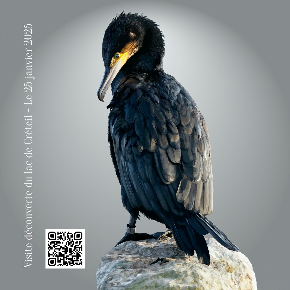 Lac de Créteil tweet media