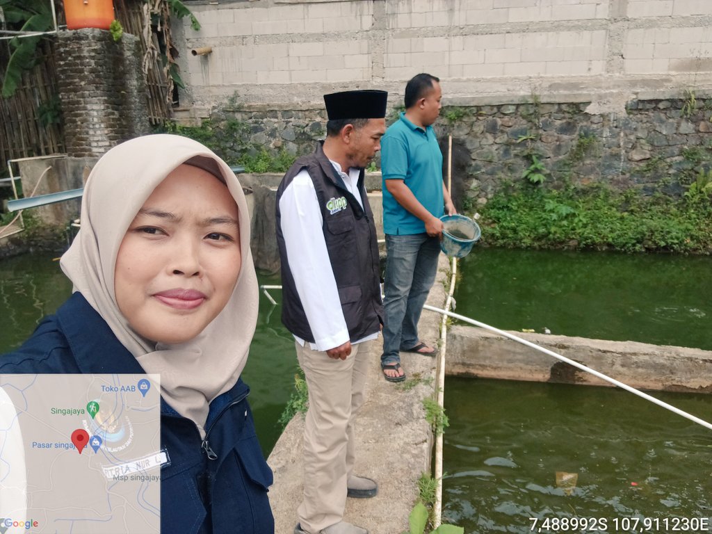 fit_nurlestari's tweet photo. Kamis (05/12), Fitria Nur Lestari, Luhkan Garut, di Pokdakan Jaya Perikanan Ds Singajaya, sampling ukuran ikan lele untuk menentukan rencana waktu panen #GiatLuhkanSatminkalbogor #KabGarut #Aktivitas
@brpbatpp_bogor
@pusluh_bppsdm
@bppsdm_kp https://t.co/IjEihEizWT