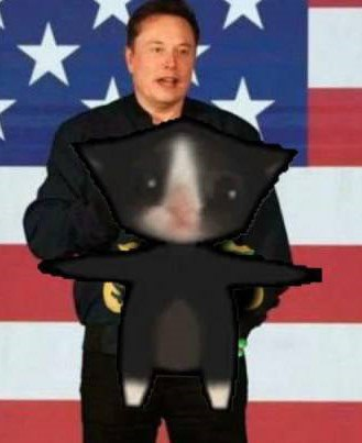 drippskool's tweet photo. @cb_doge They're definitely discussing about $autista 🤣 🤣
@elonmusk likes this autistic vibe! 
#autista to the SPACEX! 🌕🌕

@AutistaCat on @solana 

ca ~ 6QbkqyarW5ET7TvNsENGmV7e4fg7SpACdYb8ba5Ppump

#memecoins #cat #cats #solana https://t.co/zw8UqxzfKJ