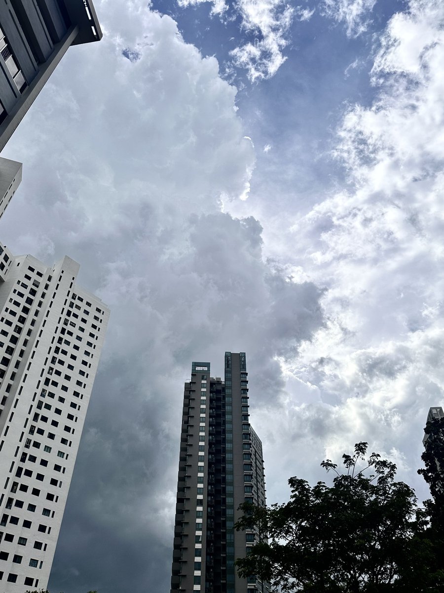 Dr_AJ_MD's tweet photo. Clouds are nature’s way of reminding us to chill and float a little..🌥️

#AfternoonWalks #ClickOnTheGo #RainOnTheWay #StareAtTheSky #CloudsAndSkyscrapers https://t.co/P2cE7wPLRU
