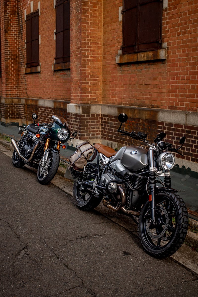 Rintaro2122's tweet image. この猫、前世はバイク乗りなのか？
RnineTに寄りつかないから前世はたぶんイギリス人。
#Triumph #Thruxton #FinalEdition #FE