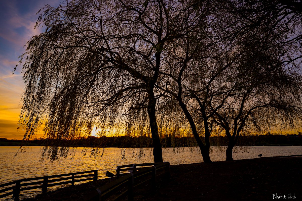 Early morning at Furzton Lake - Milton Keynes. 

#scenesfrommk #thePhotoHour #sunrise