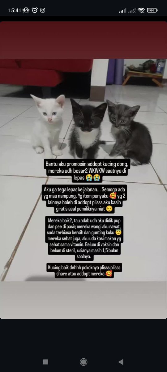 Mystique tweet media