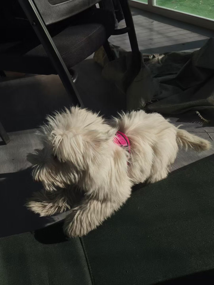 小母狗陪我训练🐶 限时出本周训练的篮球袜一双 先到先得🦶🧦