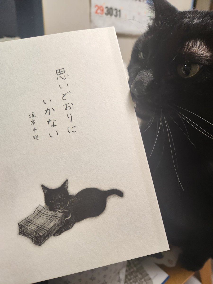 まさにこの心境…

<a href="/chiakisakamoto/">坂本千明</a> 
#思いどおりにいかない