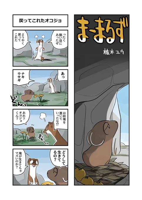 (3/4) 