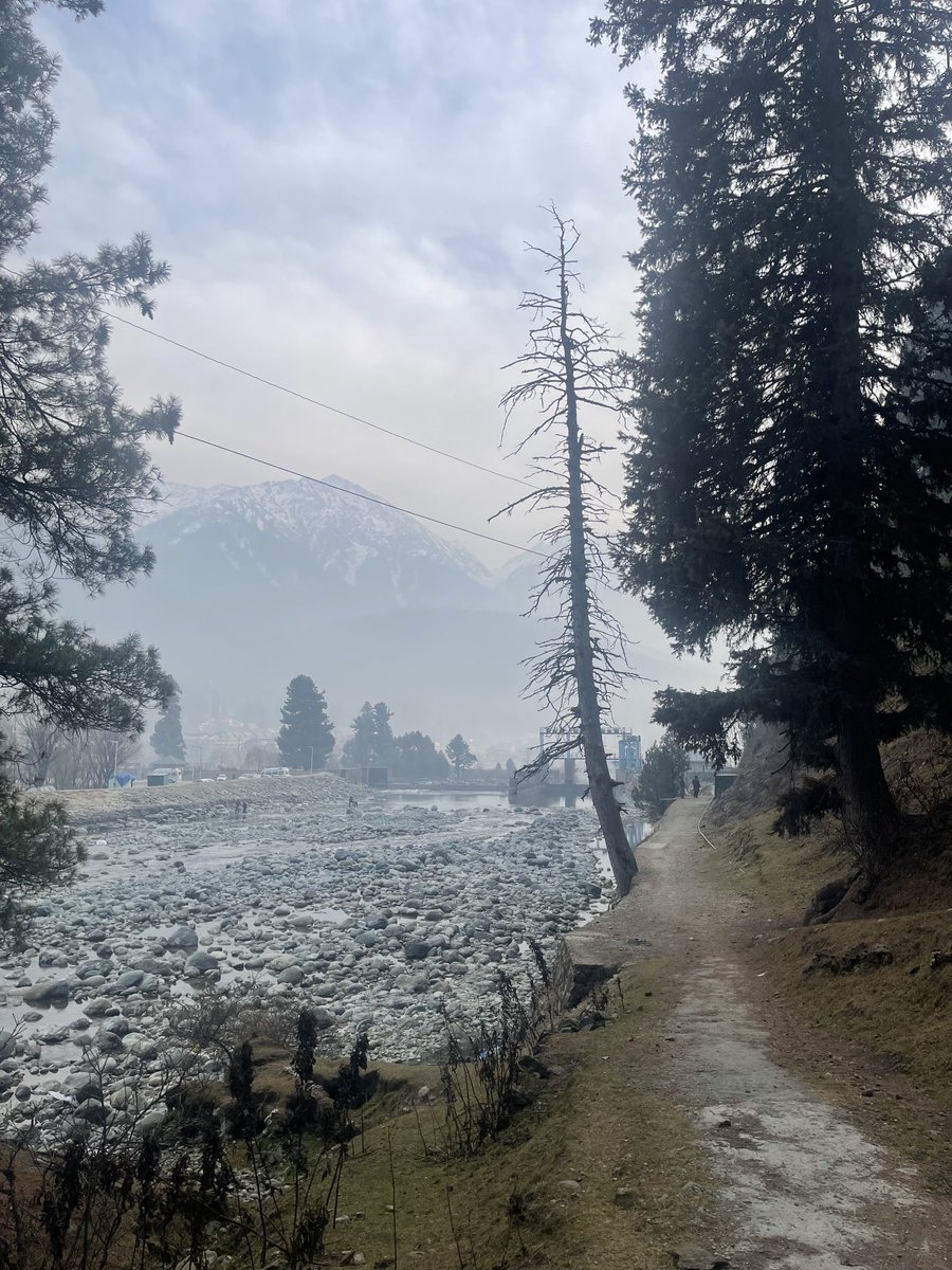 Dr Sameer Kaul tweet media