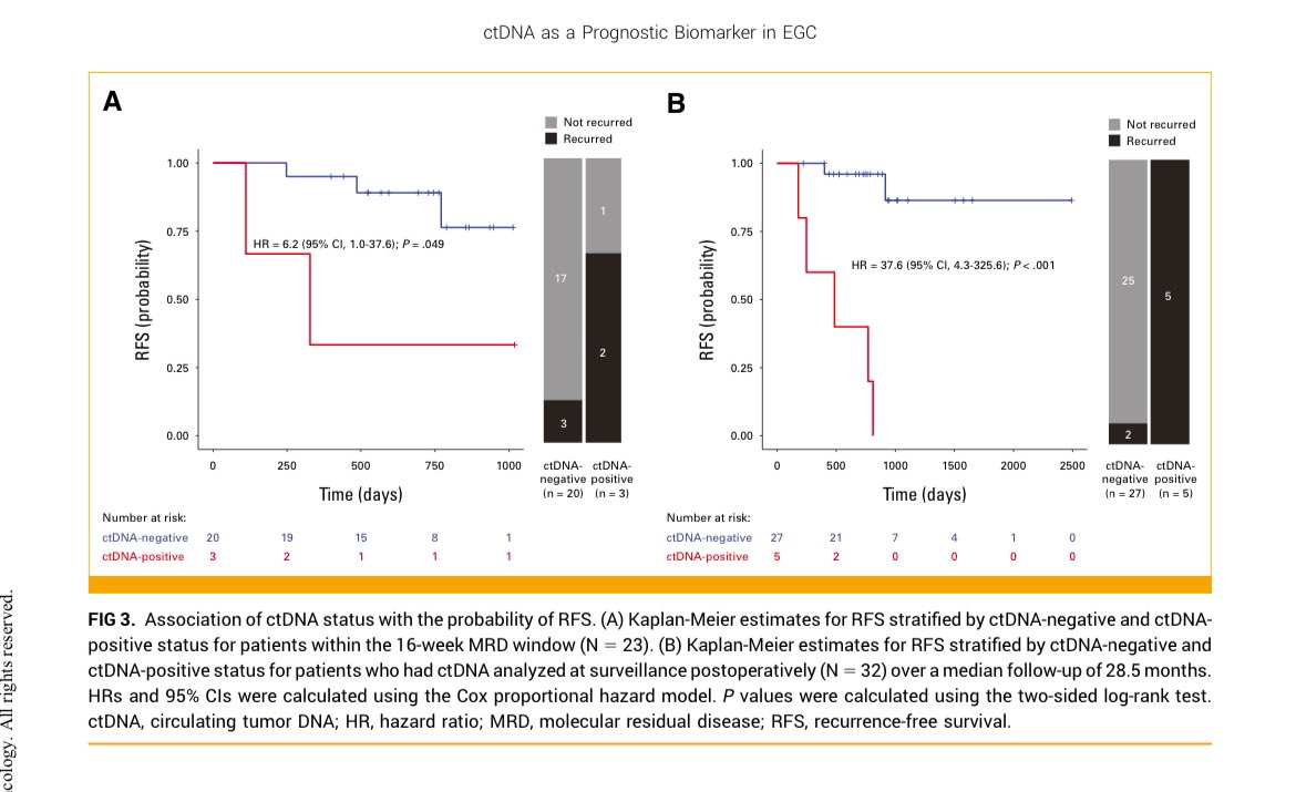 Erman Akkus tweet media