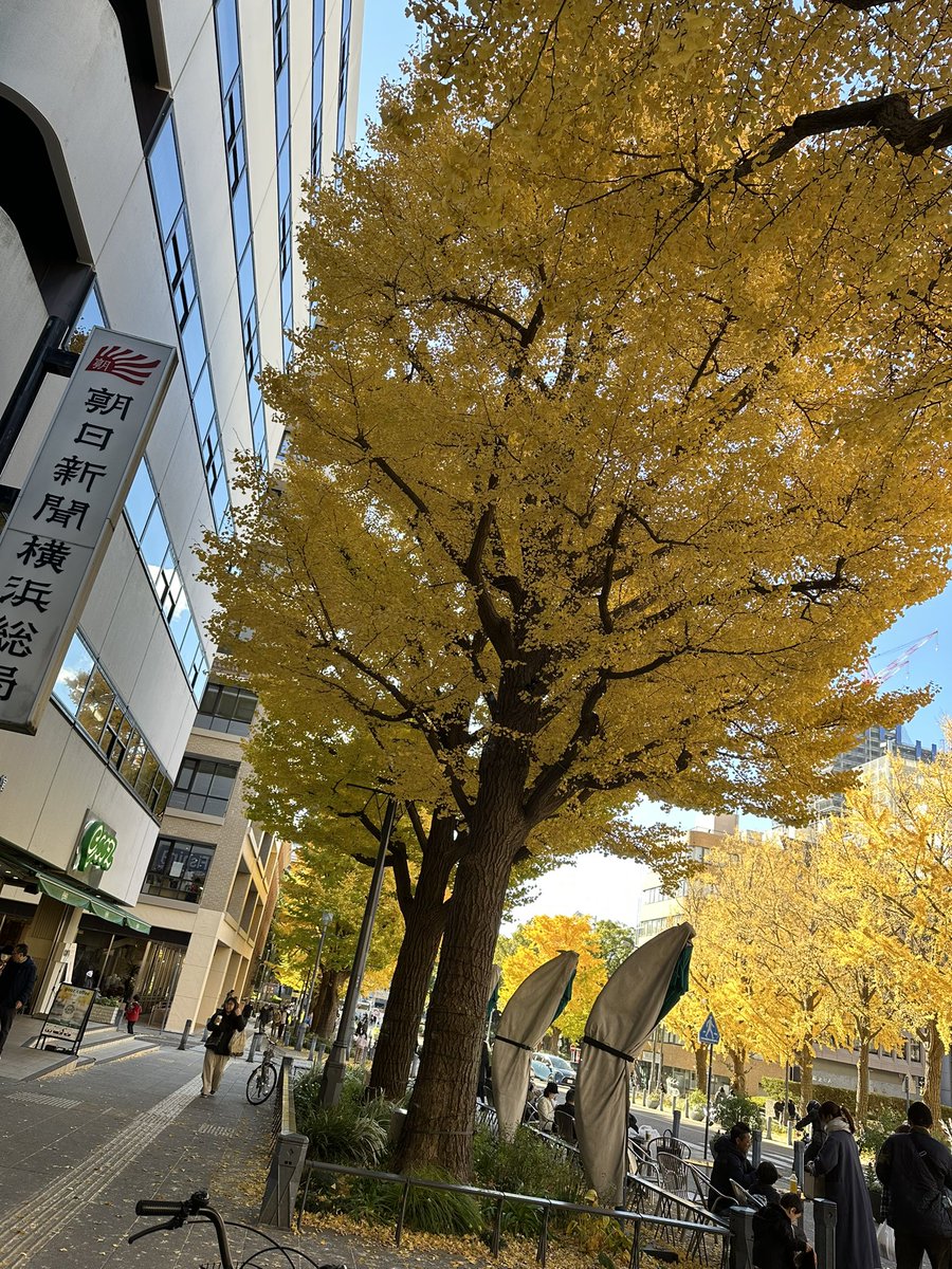 FKNmacho's tweet photo. くさいね https://t.co/jUlL01Ni1W