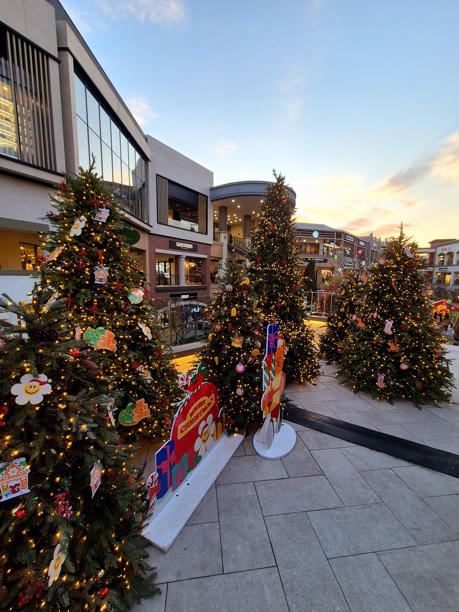 DINDIN부부 tweet media