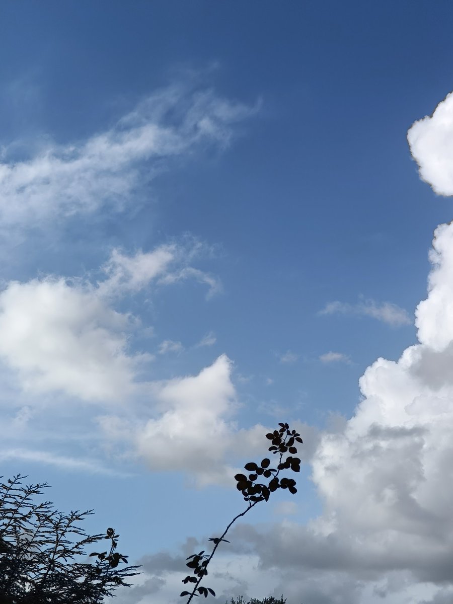 ZeroNodi's tweet image. Grande il cielo...
Lo scrigno dei ricordi 
#runningtime 🏃🏃🩵🩵