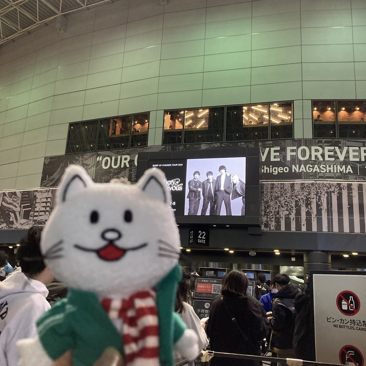 happa6boc's tweet photo. ドーム２日目いってきます https://t.co/QHmAJ7l4pn