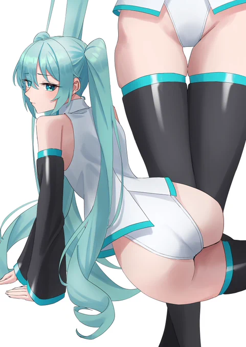 #今年も残りわずかなので今年一番ぶっ刺さった絵を自分で言うハイレグミクちゃん 