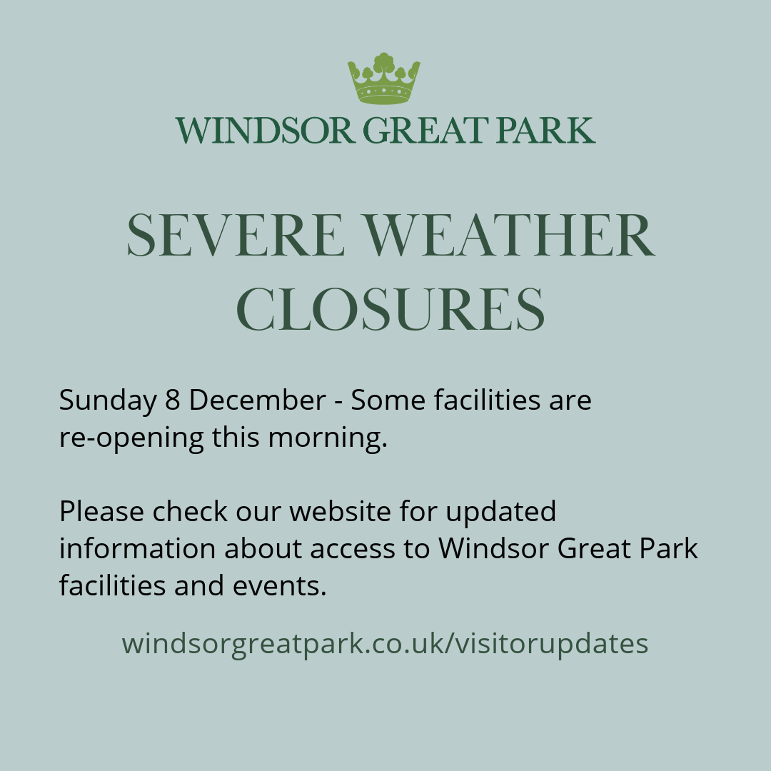 Adventure Play tweet media