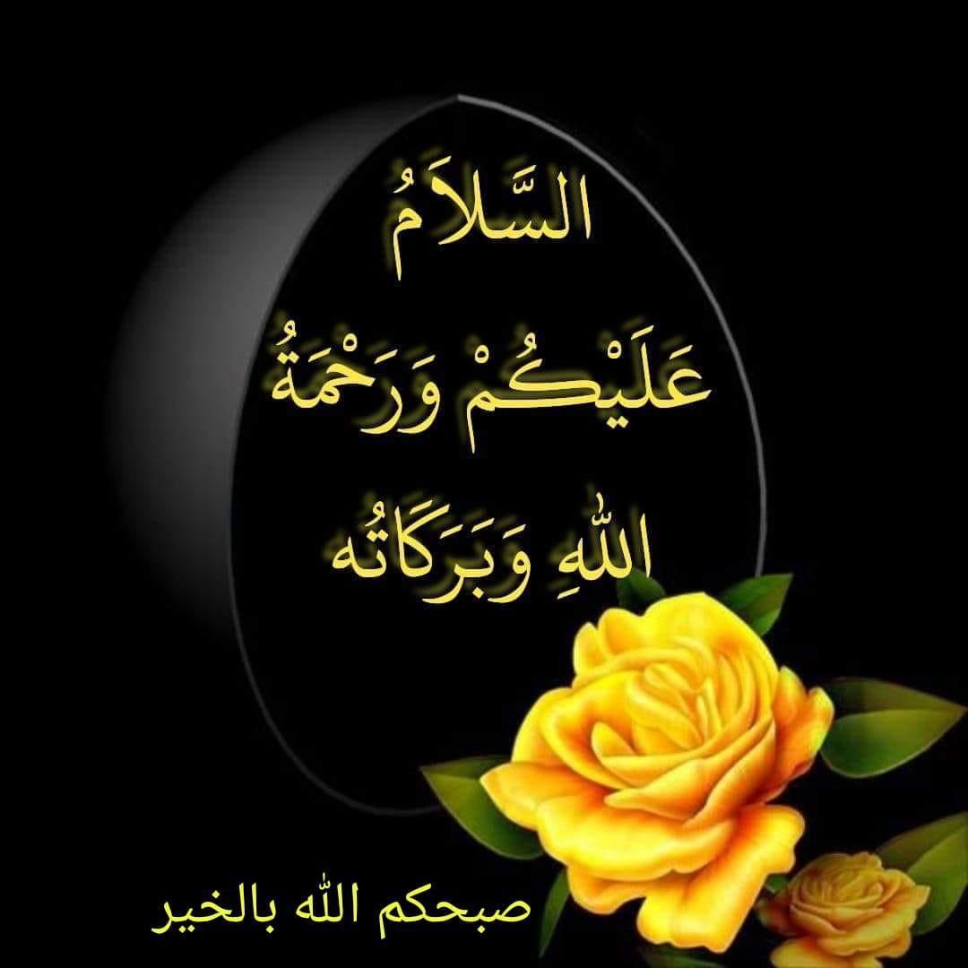 syedmunawar01's tweet photo. https://t.co/8wIADyVeX7