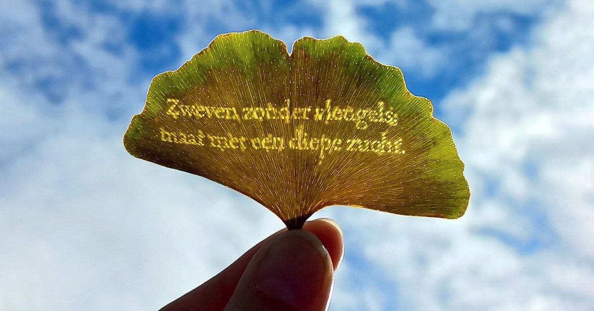 ongriddesign's tweet image. Nature's poetry: Merel Slootheer's 'Herfstvlinders' project imprints ephemeral Dutch poems on autumn leaves. A beautiful reminder that change is the only constant in life and design. #MindfulDesign #TransientArt #AutumnInspiration