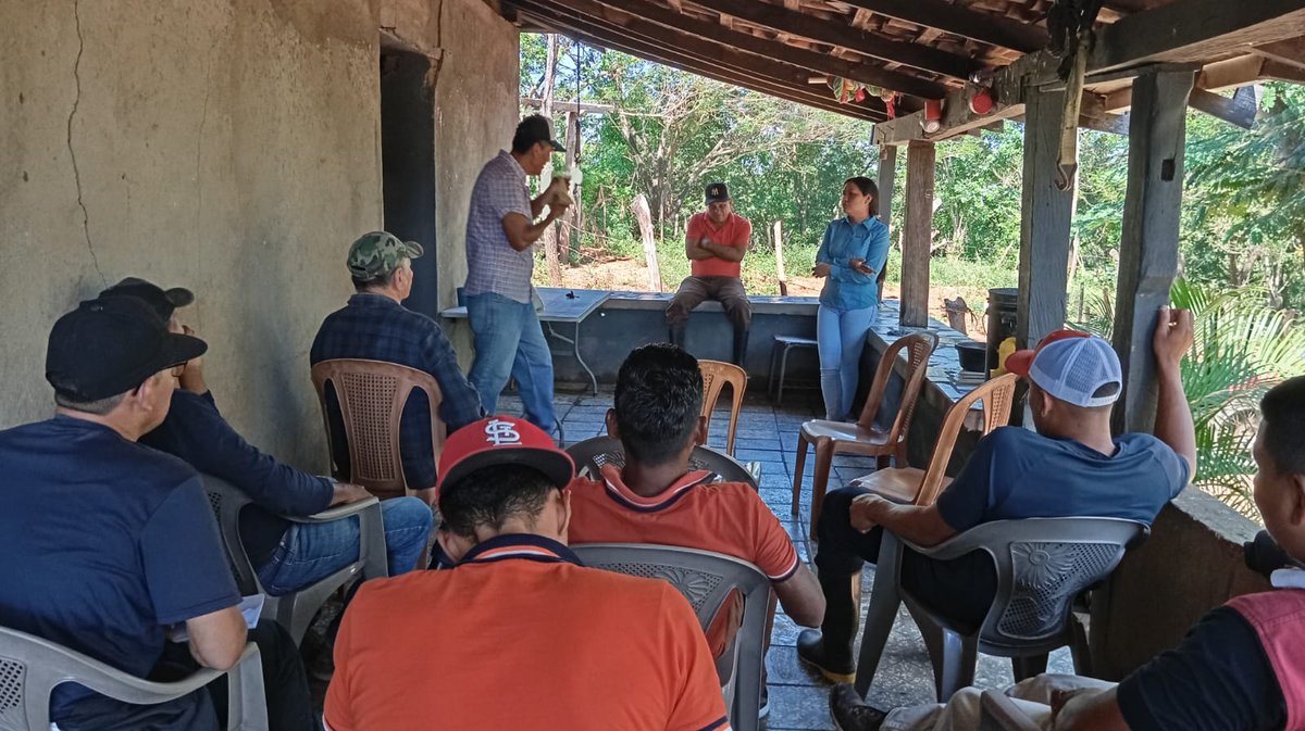 #Nicaragua:🐝 🌻 16 apicultoras/es de Chinandega Norte aprendieron sobre crianza de reinas, manejo de colmenas y control de plagas como el escarabajo y la varroa, para ser más resilientes frente al cambio climático. 🌎
Con apoyo de <a href="/AmicsdelaTerra/">Amics de la Terra Mallorca</a>, <a href="/AmigosTierraEsp/">Amigas de la Tierra</a>  y <a href="/goib/">Govern de les Illes Balears</a>