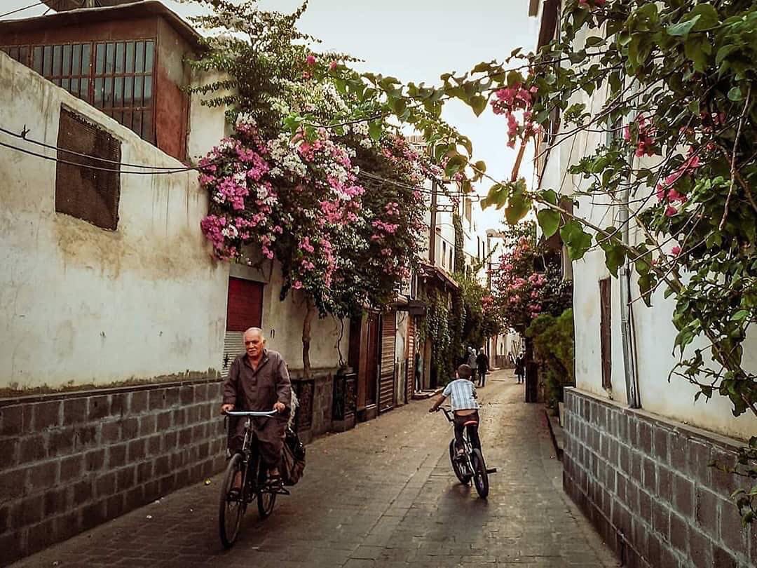 رجعت دِمشق الياسمين