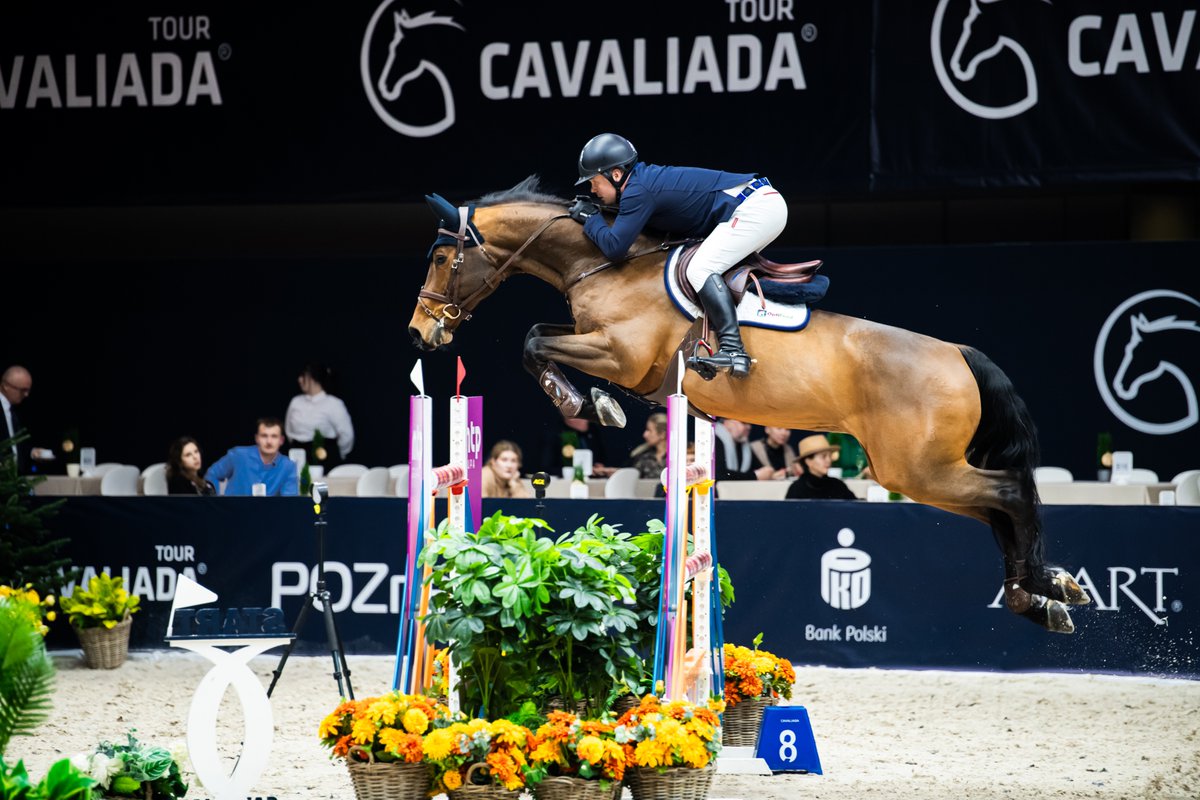 KadraSkokipl's tweet photo. #Cavaliada Poznań - najlepsze czwartkowe wyniki reprezentantów Polski w pierwszym dniu turnieju 05/12/24:
▪️CSI4 LR 145 - 6m. Małgorzata Ciszek Lewicka  DAISY & Maksymilian Wechta  MYSTIQUE
🥇CSI4 140 - 1m. Przemysław Konopacki EXPRESSION'QUILL
🥈CSI4 135 - 2m. Grzegorz Nowak LET'S GO
🥇CSI1 135  - 1m. Anna Stasiak CON CORDIA
🥇CSI1 130 - 1m. Andrzej Głoskowski MONTENEA Z
🥈CSIYH 6/7 yr - 2m. Marek Wacławik CASCADERO
🥇CSIYH 5 yr - 1m. Szymon Stasiak NOBEL VAN HET VINCKENHOF Z
🥇CSIAm 120 - 1m. Lena Kołacka SUEDWIND 9
🥇CSIAm 110 - 1m. Alina Dziamska OKARYNA DZ
Gratulacje !! fot. @alicja_fotoali  & @FotoElissa_
