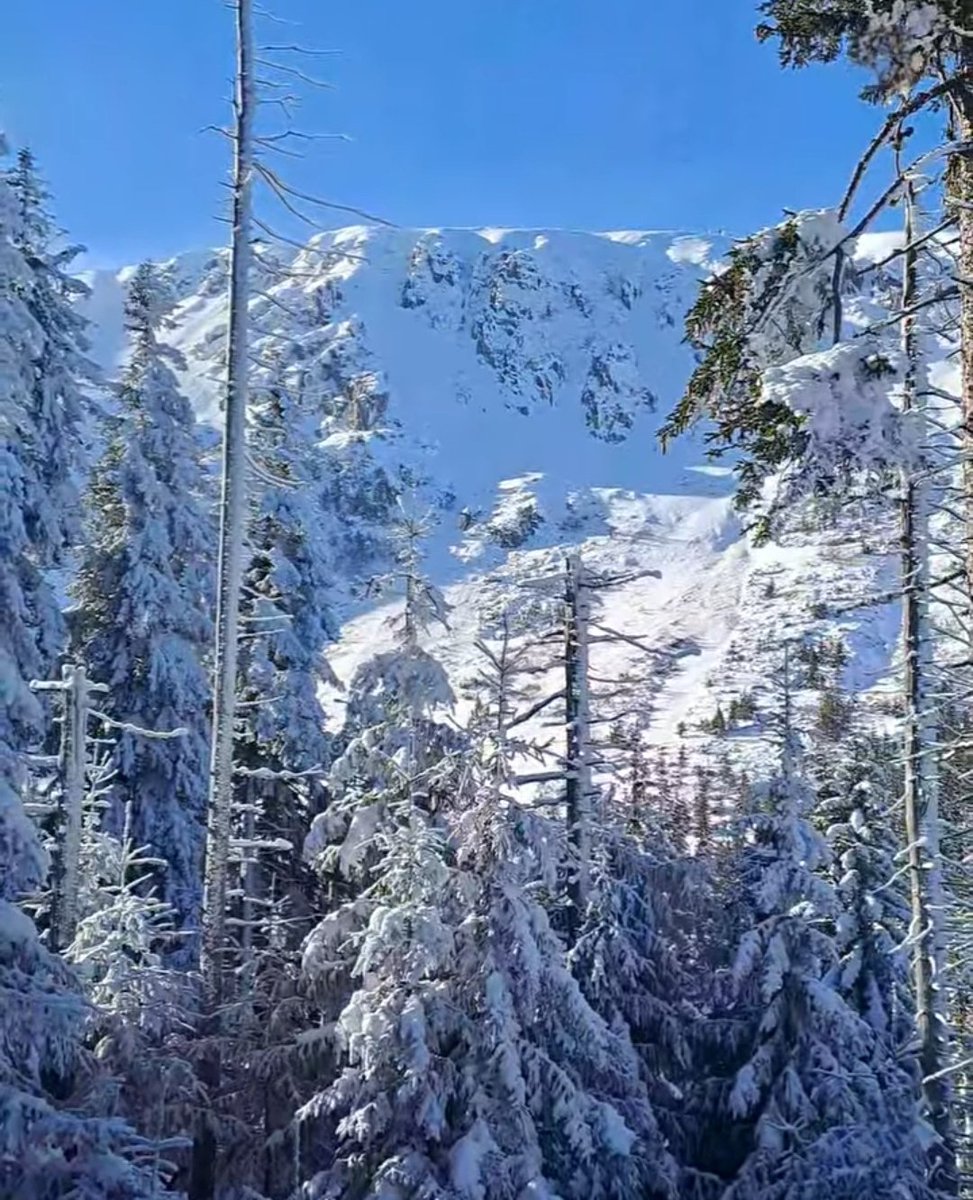 ࿐❥𝖳𝖾𝗋𝖾𝗌𝖺 𝖫 ࿐❥  tweet media